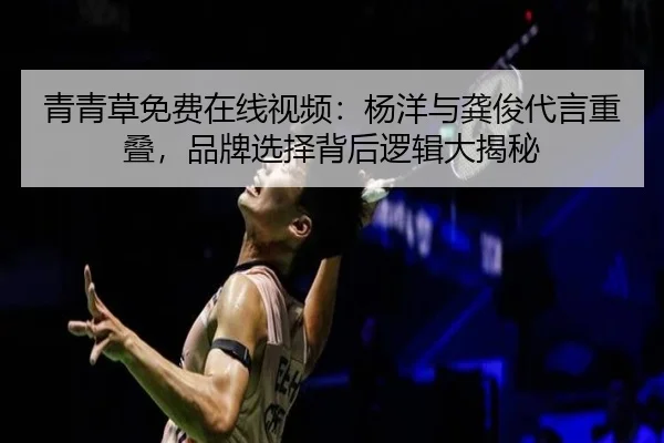 青青草免费在线视频：杨洋与龚俊代言重叠，品牌选择背后逻辑大揭秘